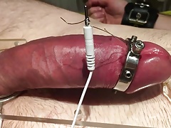 Subject L cock estim precum