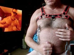 Gay daddy bear, nipple pig, gay dads