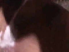 Japanese Bear Anal (5)