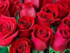 Bangladeshi stud Desi Mazaa takes a big dick in this wild AI encounter