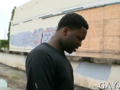 Watch these two kinky lovers get down and dirty in a steamy black & white threesome