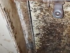 My land fist-bumped and drained the water.