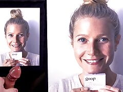 Gwyneth Paltrow 'Goop Facial' Cum Tribute (60 fps 4K)
