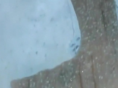 L'errance de Johnny Hazzard ( 2)