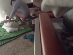 Bitch Cums After 2 Constrution Breeding 21