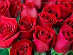 Mature Bangladeshi beauty Desi Mazaa with a big booty