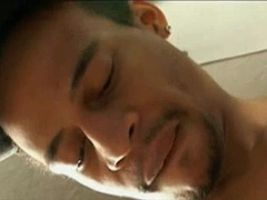 wonderful Arab Otters longing