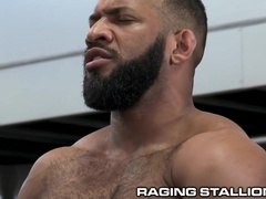 Beefy Muscle Bears Fuck At Gym