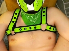 Dom Black and Gimp Pup