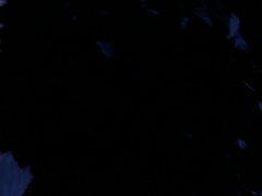 Johnny V-Andre Donovan-