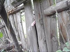 Old nail, into an old fence!