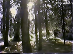 Tall Timber (1971) 3