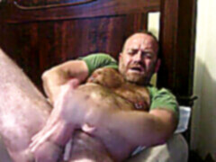 Yankee, big bears, gay verbal