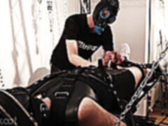 Gay cock, filmy hd, trikoot