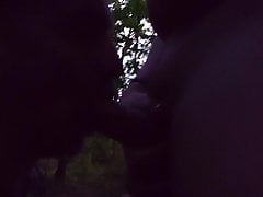 Sucking Cock in the woods