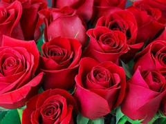 Steamy scenes with big booty in gay action featuring Desi Mazaa