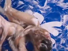 Moist Bubble Wrestling Match : Everyone Wins