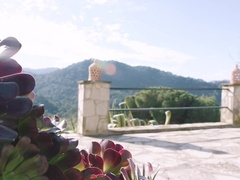 Assfucker Porno White Lotus - The Manchineel King: Vignette One