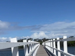 Bike railing and adventures in purple swimsuit
