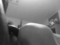 BIG BLACK COCK doing what it does hottest!