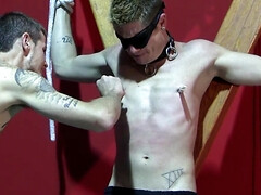 Male slave endures sexual spanking and claming in real maledom experience