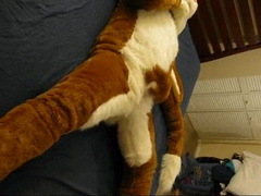 A Cabbit showcasing off and frolicking with himself