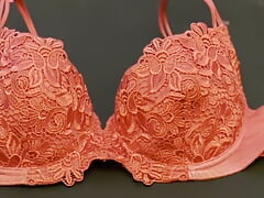 Here I jerk off on my wife's hot red lace bra (80 D)
