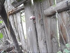 Old nail, into an old fence!