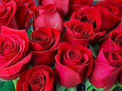 Hard-core, finger-tickling, ai