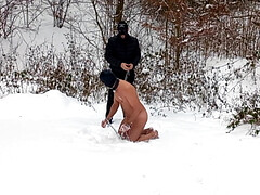 Fetch training in snow