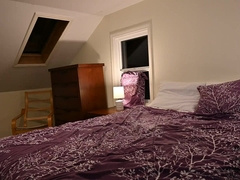 Ravaging in the fams guest apartment.