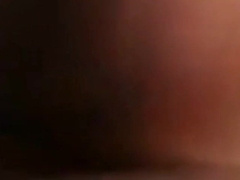 Daddy bear sucking cock 14