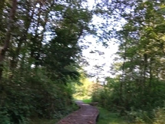 Sissy Dressed In Sumptuous Undergarments outdoor