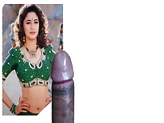 madhuri dixit the image of my dick