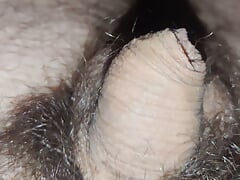 Teen small hairy uncut cock