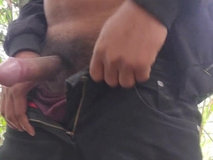 Fresh 4k flick upcoming next movie