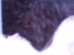 XXL BONE FAP OFF.MP4