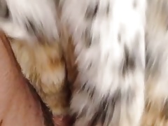 Lynx fur coat rub