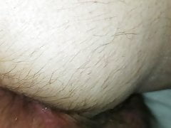 Cock Cumming Breeding Daddy