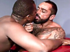 DEEP ANL dark-hued Dreamers - VOL #05