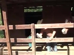 Aggressive white boys