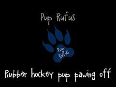 Rubber hockey pup pawing off