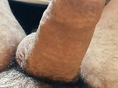 Semi erected young uncut chubby cock