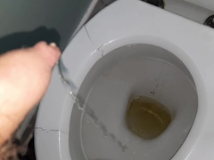 Fat Pee Compilation in Wc and a Whiskey Glass!