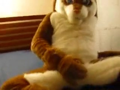 Fursuit Masturbation
