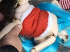 My Christmas Barbie girl gets a wild fuck session - Homemade gay style!