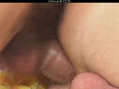 Joel D Amici And Liam Phoenix