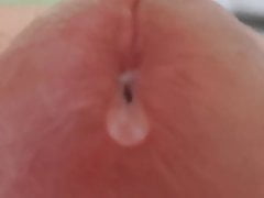 Morning precum without erection