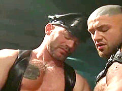 Paja, jecolucci, vídeos hd