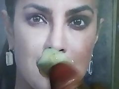 Priyanka Chopra Hollywood Bollywood Actress Hot Cum Tribute